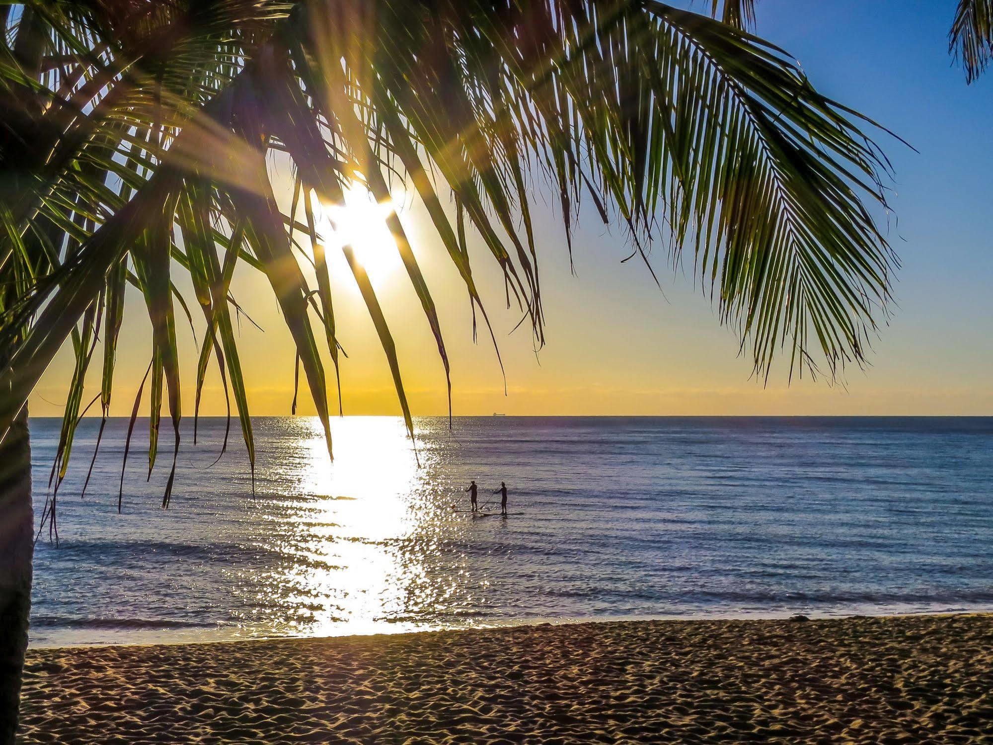 Roydon Beachfront Apartments Trinity Beach Eksteriør billede
